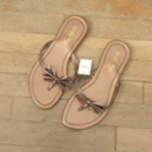 Women's Brown Sequins Bow Flip Flops NWT
